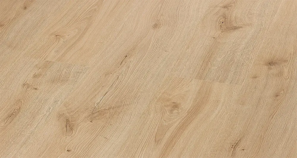 Ройбуш 1