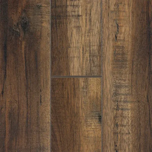 Amman Oak