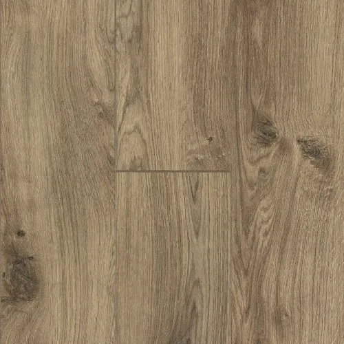 Archer Oak