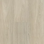 Дуб Горный Светлый 5