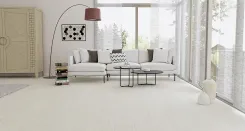 Дуб Северный 1
