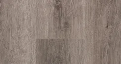 Дуб Шторм 2