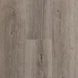 Дуб Шторм 3