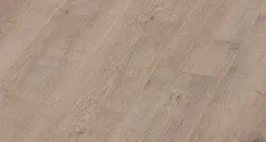 Дуб Тесей 1