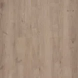 Дуб Тесей 3