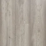 Дуб Тильзит 5