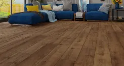 Дуб Кенигсберг 1