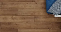 Дуб Кенигсберг 2
