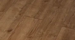 Дуб Кенигсберг 4