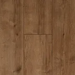Дуб Кенигсберг 5