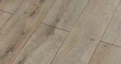 Дуб Восток 4