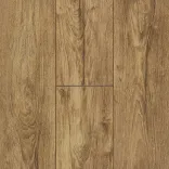 Дуб Союз 5