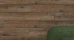 Дуб Вояджер 2