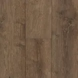 Дуб Вояджер 5