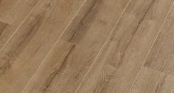 Дуб Фалкон 4