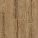 Дуб Фалкон 5
