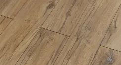 Дуб Квазар 4