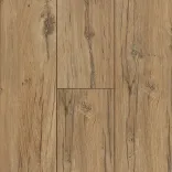 Дуб Квазар 5
