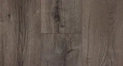 Дуб Бербер 4