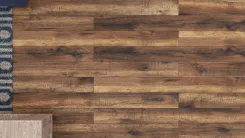 Amman Oak 2
