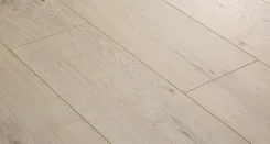 Дуб Магеллан 4