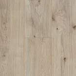 Дуб Магеллан 5