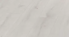 Дуб Ноланд 4