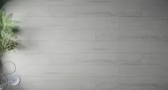 Дуб Санти 2