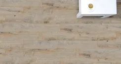 Дуб Матисc 2