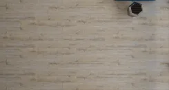 Дуб Дали 2