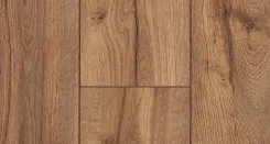 Дуб Сепия 3