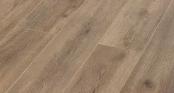 Дуб Престон 1