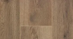 Дуб Престон 2