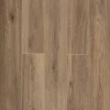 Дуб Престон 3