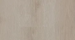 Дуб Трезор 1