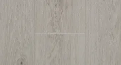Вяз Дорсей 1
