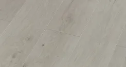 Вяз Дорсей 2