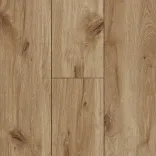 Дуб Адажио 5