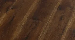 Дуб Болеро 4