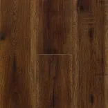 Дуб Болеро 5