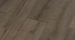 Вяз Бонго 2