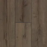 Вяз Бонго 3