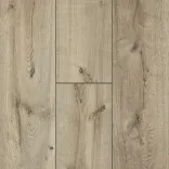 Gael Oak 6