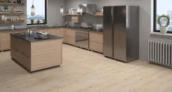 Дуб Харольд 1