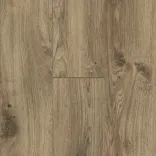 Archer Oak 5