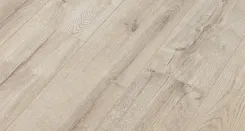 Дуб Оптима 1