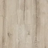 Дуб Оптима 5
