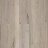 Райнер 5