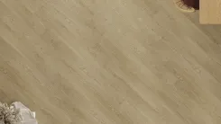 Каплан 2