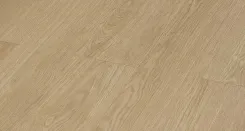 Каплан 3